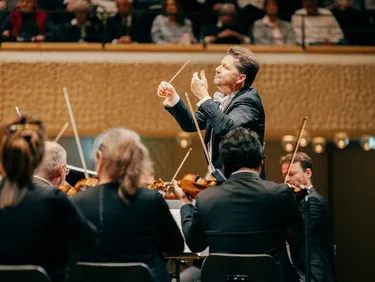 Impression 8. Philharmonisches Konzert