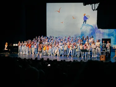 Impression Alsterspatzen Jubiläumskonzert