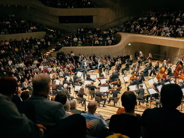 Impression 8. Philharmonisches Konzert