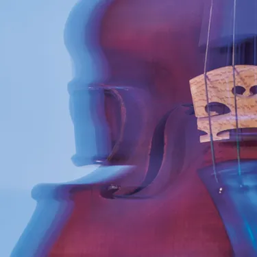 Instrumentenstillleben