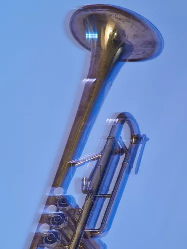 Instrumentenstillleben