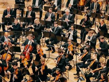 Impression 8. Philharmonisches Konzert