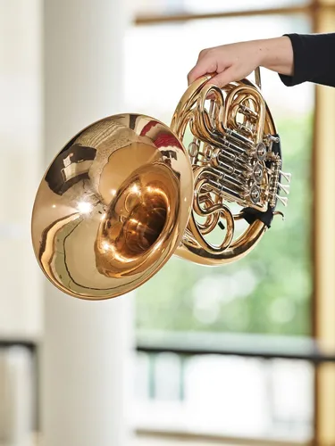 Fallback Porträt: Instrument Horn