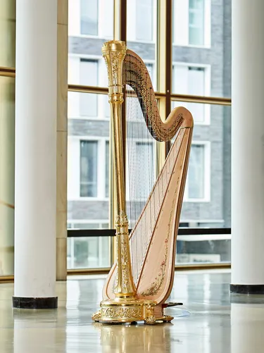 Fallback Porträt: Instrument Harfe