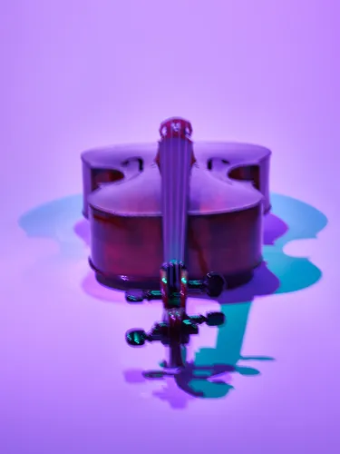 Instrumentenstillleben