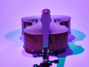 Instrumentenstillleben