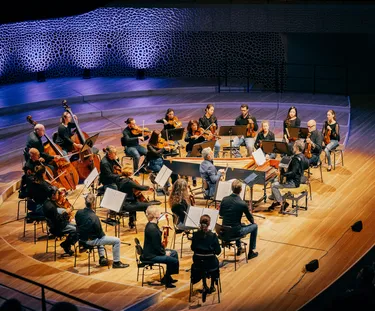 Impression 3. Blaues Konzert