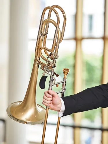 Fallback Porträt: Instrument Posaune