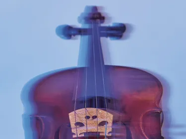 Instrumentenstillleben