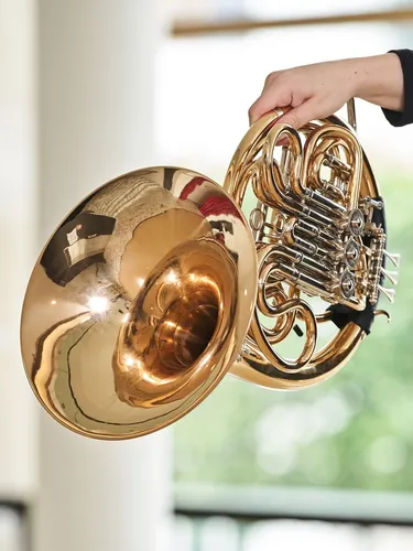 Fallback Porträt: Instrument Horn