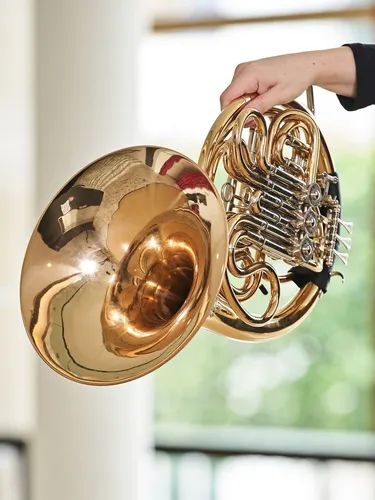 Fallback Porträt: Instrument Horn