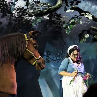 Produktionsfoto: Die Gänsemagd