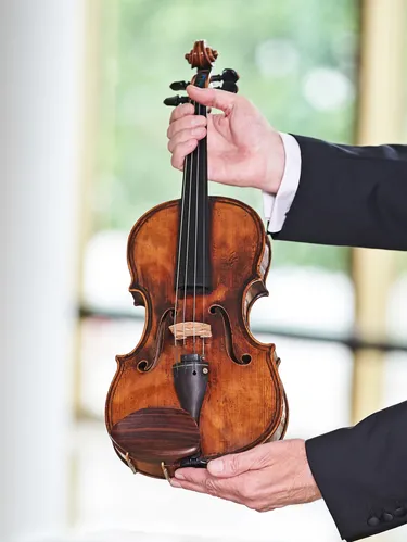 Fallback Porträt: Instrument Violine