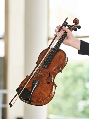 Fallback Porträt: Instrument Viola