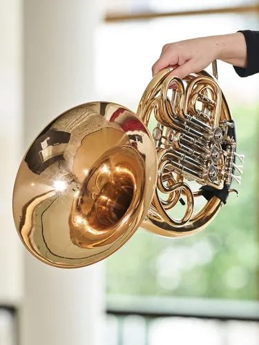 Fallback Porträt: Instrument Horn