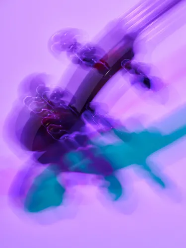 Instrumentenstillleben