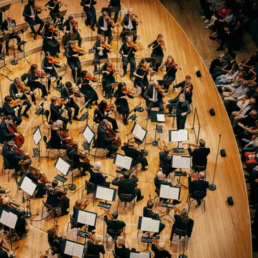 Impression 1. Philharmonisches Konzert