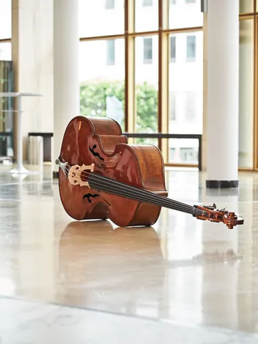 Fallback Porträt: Instrument Kontrabass