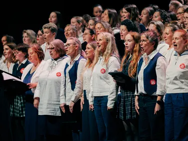 Impression Alsterspatzen Jubiläumskonzert